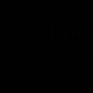 Meet your Posher, Cj